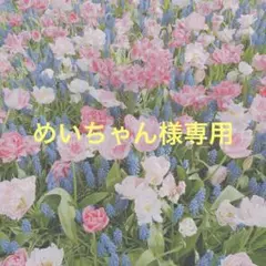 めいちゃん様専用