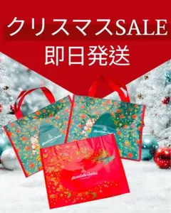 Item thumbnail for item 72116fab-d14c-4ca2-95f1-37e58bba3de7