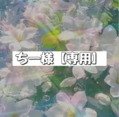 ちー様【専用】