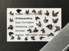 cherie chien様 リクエスト 3点 まとめ商品