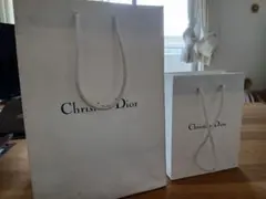 Christian Dior 紙袋 大小セット 2枚　クリスチャンディオール