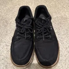 Item thumbnail for item 3e1c777a-973a-42f4-bcf6-766d02e384d5