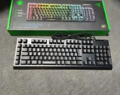Razer blackwidow v4 x