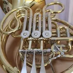 2025年最新】フルダブルホルンの人気アイテム - メルカリ