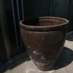 2025年最新】甕 メダカの人気アイテム - メルカリ