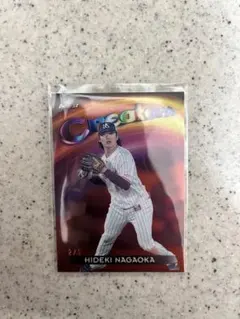 Hideki Nagaoka 2/5
