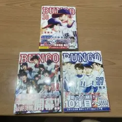 Item thumbnail for item 1273c39b-dc27-4505-b00e-95060cfee888