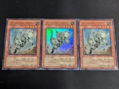 遊戯王　フォッシル・ダイナ・パキケファロ　ウルトラ　 3枚セット