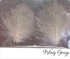 CDC マテリアル フライ フィッシング Wing Gray 50枚入り