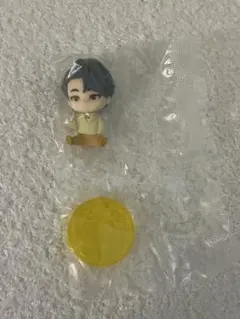 【もも。 様専用】petiTEEN SEVENTEENすわらせ隊 ウォヌ