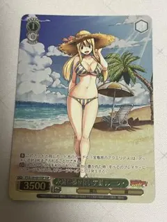 2025年最新】ルーシィ sspの人気アイテム - メルカリ