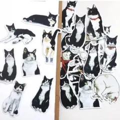 30 猫 ねこ ネコ ステッカー セット 22枚入り 手帳 シール 装飾