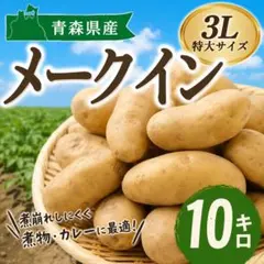熊本県産 メークイン 秀品 無農薬栽培 11kg 新じゃが - メルカリ