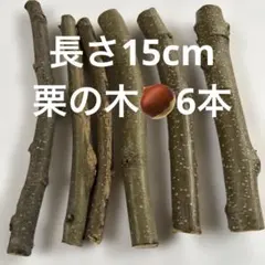 Item thumbnail for item bb65145b-3b30-4769-8d79-5516f86c46c1