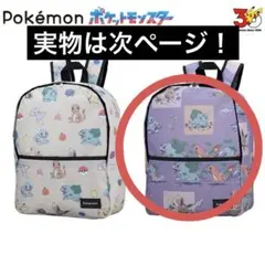 ポケットモンスタープラチナムザッカリュック～カントー地方～B