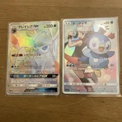 水*！様 ポッチャマ CHR グレイシアGX 2枚セット 水*！様 ポッチャマ CHR グレイシアGX 2枚セット - メルカリ