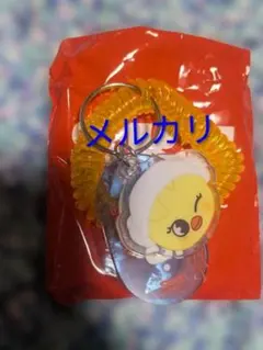 StrayKids スキズ　SKZOO サウナキーホルダー　フィリックス　ポガリ