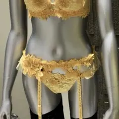 ワコール サルート 88g ブリジット 店舗限定 新品未使用タグ付き ワコール サルート 88g ブリジット 店舗限定 新品未使用タグ付き