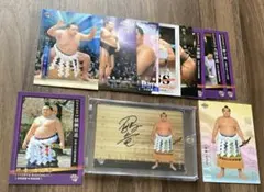 2025年最新】鶴竜 サインの人気アイテム - メルカリ