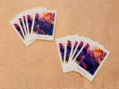 あんスタ ぱしゃっつ 遊木真