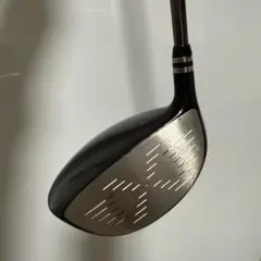 Item thumbnail for item 7d89b02f-c756-4a26-9782-32f0ef4d9a0c