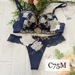 C70 ワコール サルート ブラ&ショーツ 新品 新品 ワコール サルート 96G ブラジャー C70 ショーツM ワコール