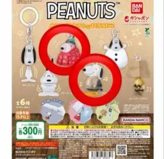 PEANUTS めじるしアクセサリー FUNNY ver. スヌーピー　2点