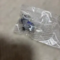 ［明日発送］ゴールドシップ