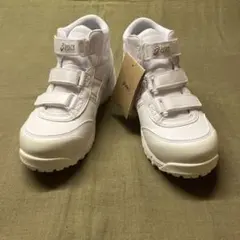 2025年最新】安全靴 アシックス ウィンジョブCP302の人気