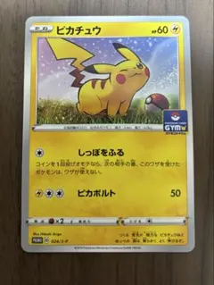 ピカチュウ　ジムプロモカードパック 第1弾 PROMO 024/S-P