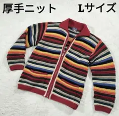 willpips 厚手 カーディガン ニット マルチボーダー L