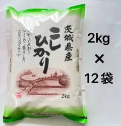 2026年最新】茨城 コシヒカリの人気アイテム - メルカリ