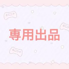 専用出品