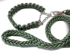 ハーフチョーク首輪 リードセット M 中型犬 大型犬 緑 グリーン しつけ 散歩