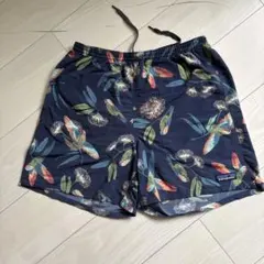 希少　美品patagonia バギーショーツ5インチ　PABL