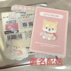 JOCHUM キャンディ 硬質カードケース まめちい 値下