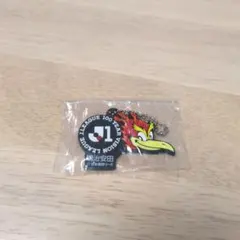 Jリーグ 明治安田 ラバーキーホルダー京都サンガ