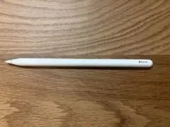 Apple pencil (ジャンク品かも？)