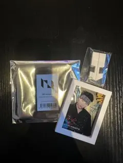 INI museum フレームスタンド　西洸人