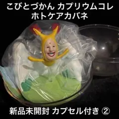 新品 こびとづかん カプリウムコレクション ホトケアカバネ フィギュア ②