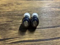 【イヤホンのみ】AVIOT TE-D01g ネイビー（両耳セット