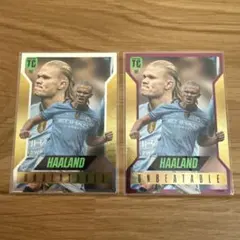 Item thumbnail for item 21722ca8-dd65-4a7d-be22-0cb6b933f4ff