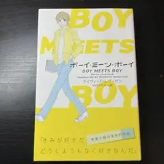 ボーイ・ミーツ・ボーイ きみがここにいてくれたら