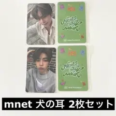 ゼベワン　トレカ　子犬　犬の耳　mnet