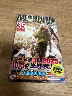 ONE PUNCH MAN 35