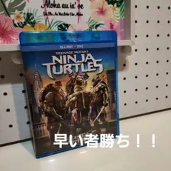 タートルズdvd