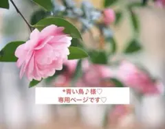 *青い鳥♪様♡専用ページです•*¨*•.¸♬︎