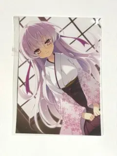 花の野に咲くうたかたの　桜花　プレミアム　フォトカード