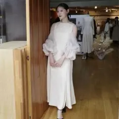 【新品未使用タグ付き】Acka sheer melt sleeve dress
