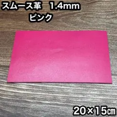しおん様 リクエスト 2点 まとめ商品